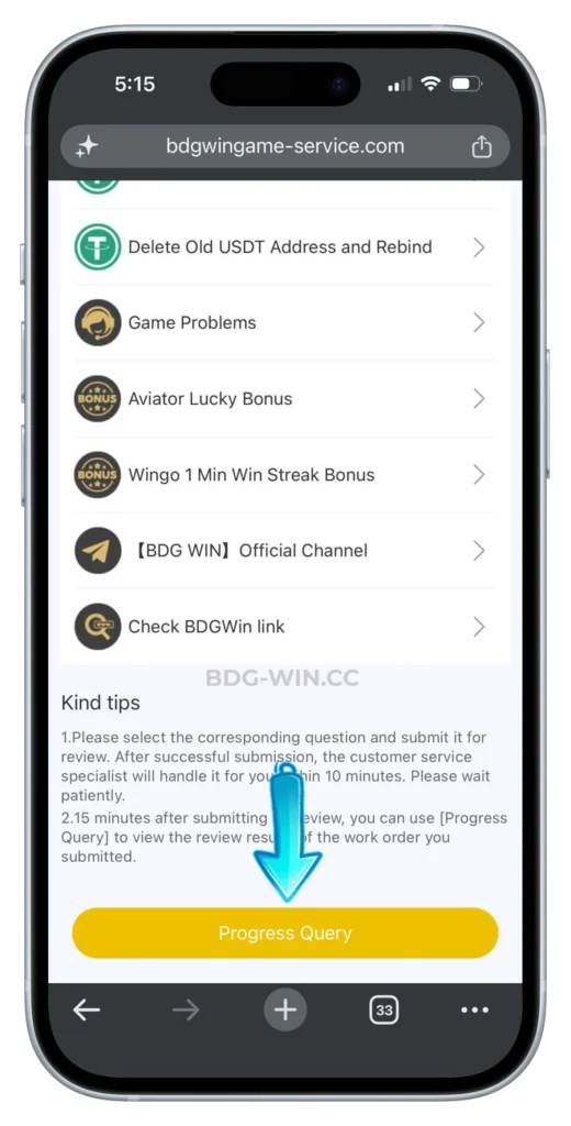 BDGWIN-CUSTOMER-SERVICE-PAGE
