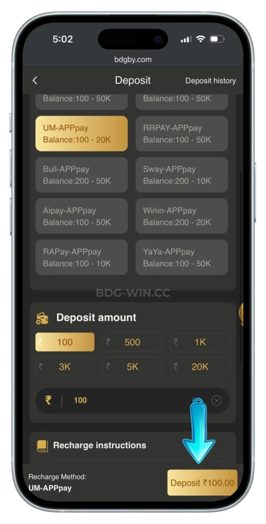 BDGWIN-DEPOSIT-PAGE